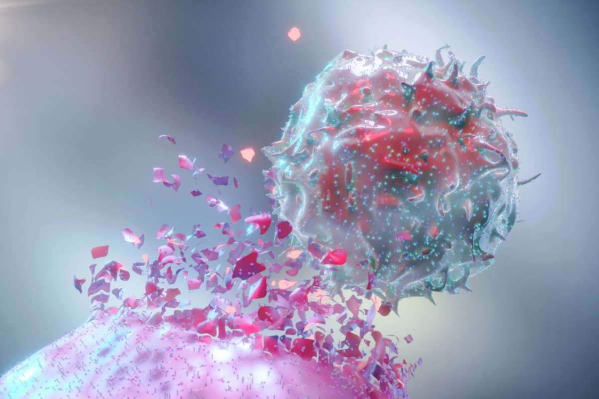 Cancer : ce nanomatériau détruit les tumeurs de l'intérieur sans abîmer les cellules saines