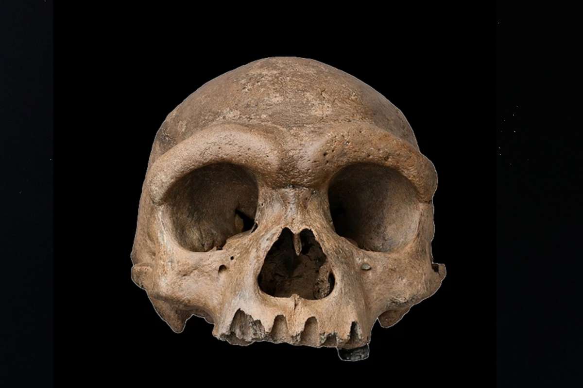 Les scientifiques pensaient les Denisoviens introuvables : cette découverte spectaculaire change désormais tout