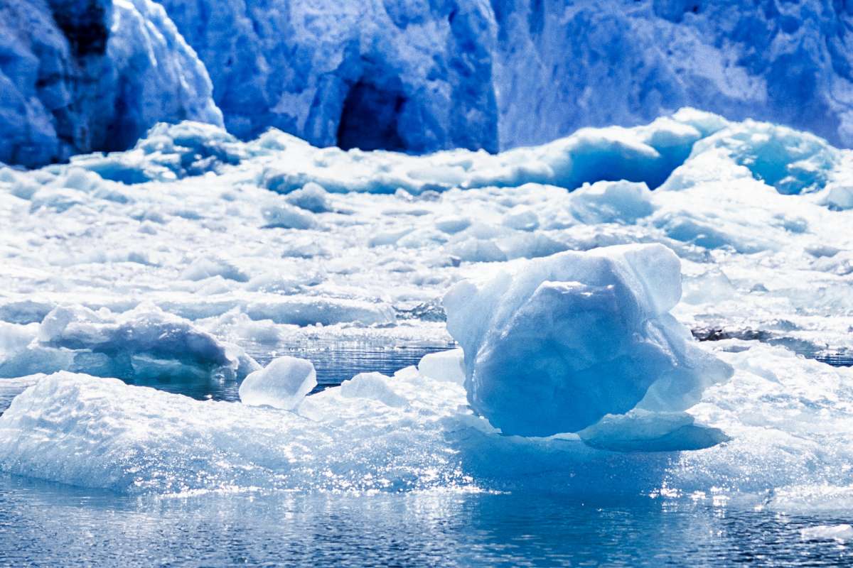 Découvert dans le golfe d'Alaska, cet orbe doré avait une origine biologique inattendue
