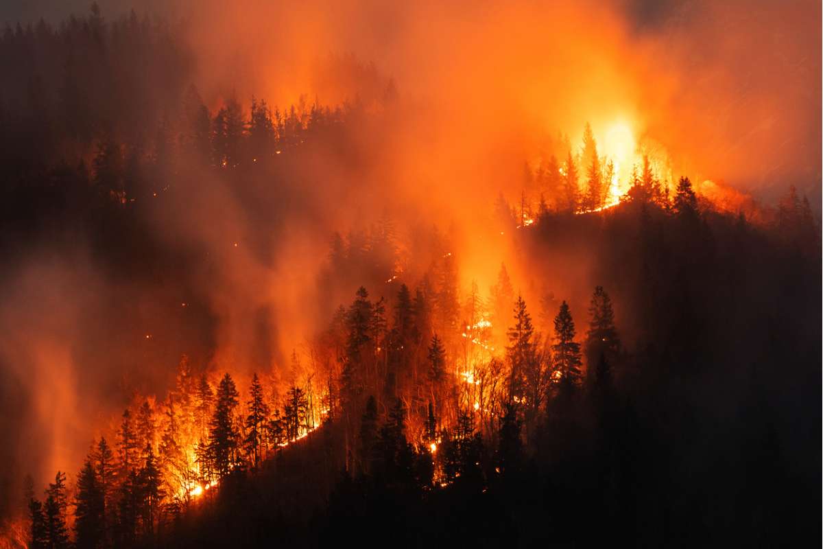 Incendies records, chaleur extrême, El Niño : pourquoi les scientifiques s'inquiètent déjà pour 2026