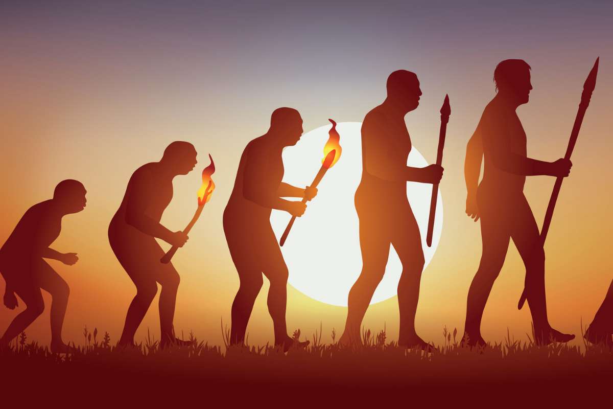L'évolution humaine s'est-elle arrêtée ? La réponse va vous surprendre