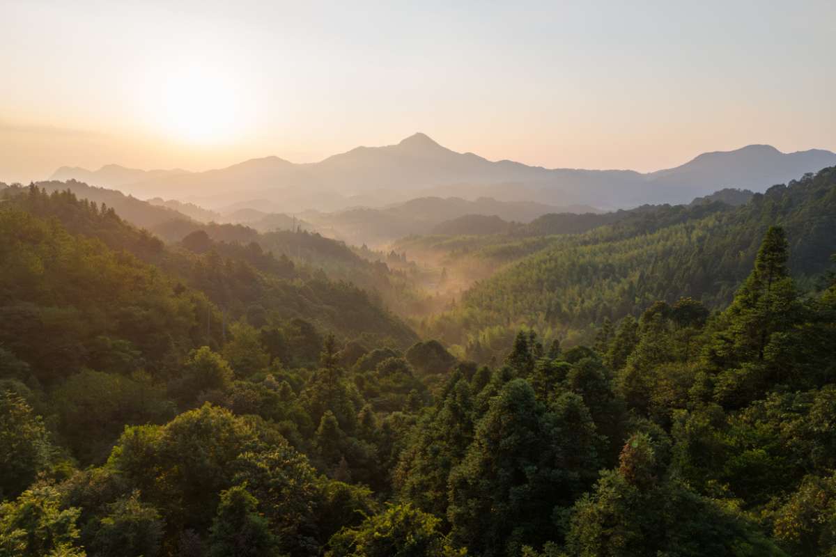 Le Taklamakan était l'un des endroits les plus hostiles de la planète : la Chine vient de changer ça