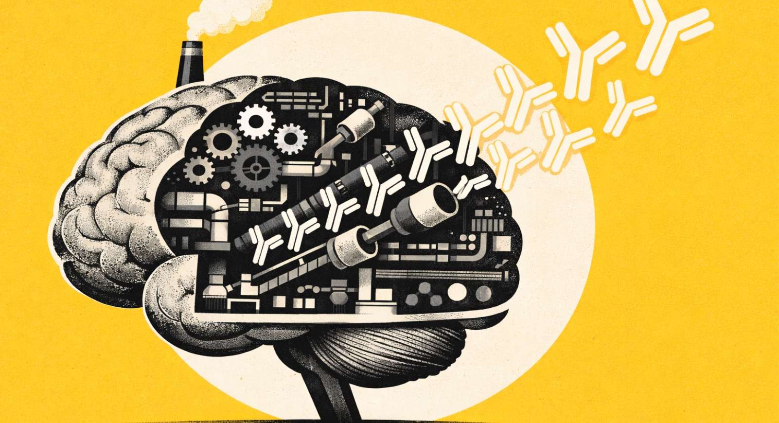 Ce que votre cerveau change vraiment dans l’efficacité d’un vaccin et du système immunitaire