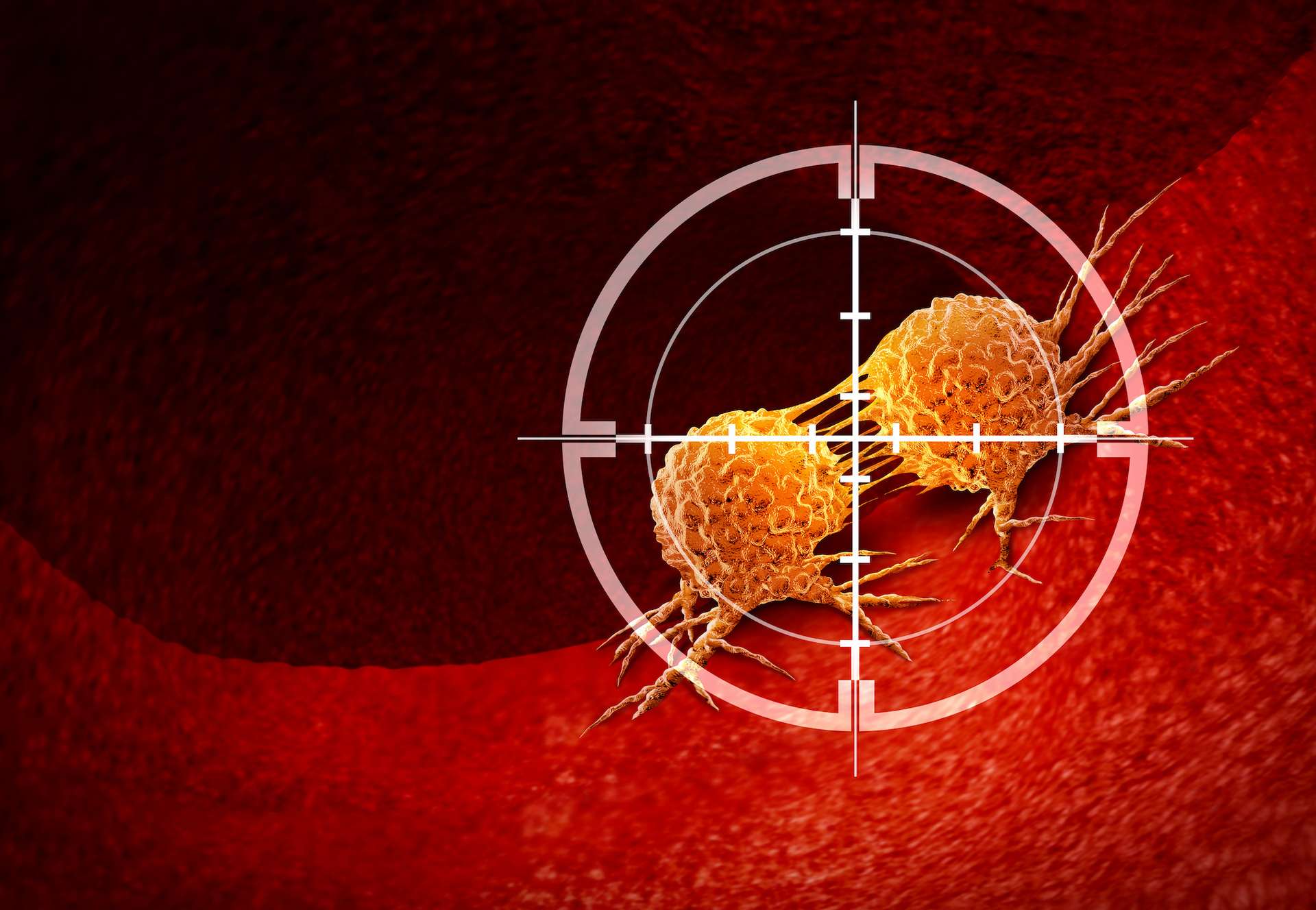 Des chercheurs ont créé un « livre de recettes » pour reprogrammer les cellules contre le cancer