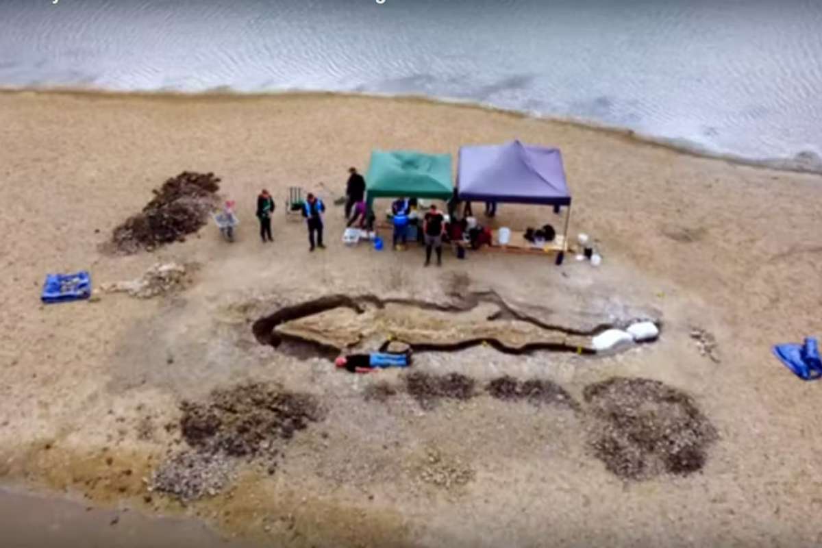 Un gigantesque « dragon des mers » vieux de 180 millions d'années découvert au Royaume-Uni