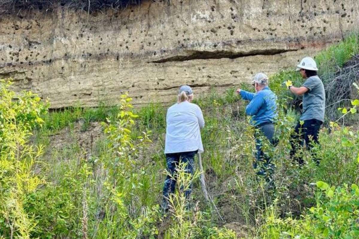 Vieux de 11 000 ans : voici l'incroyable site que des archéologues étudient au Canada après sa découverte par un amateur