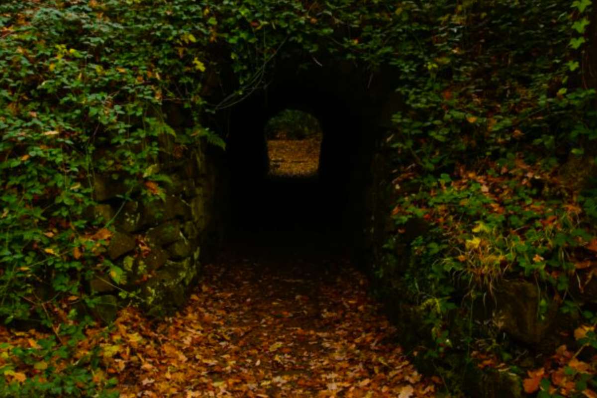 Ce tunnel de l’âge du fer intrigue : aucun expert ne parvient à expliquer sa fonction