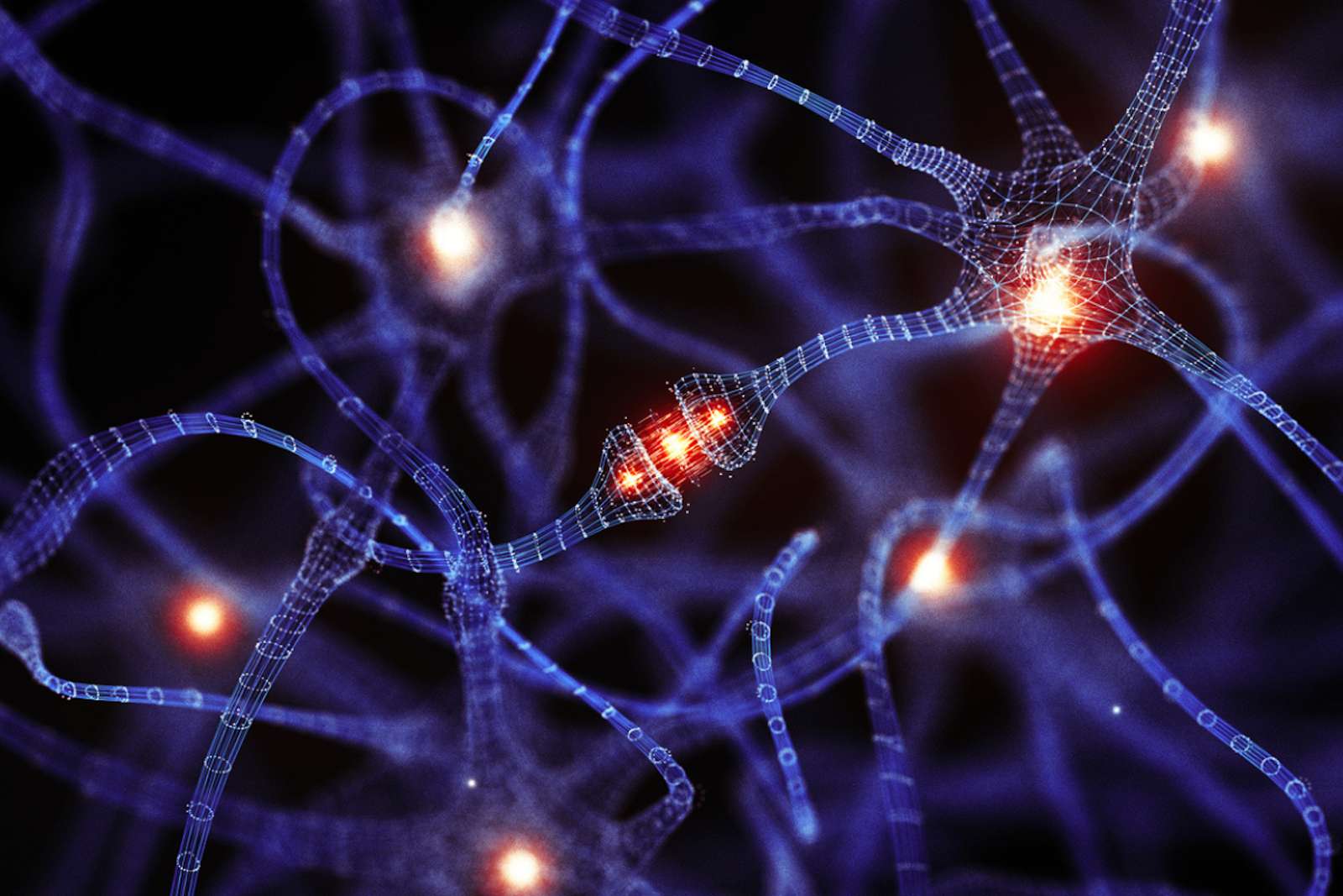 Alzheimer : un secret enfoui du cerveau ouvre une voie totalement inattendue