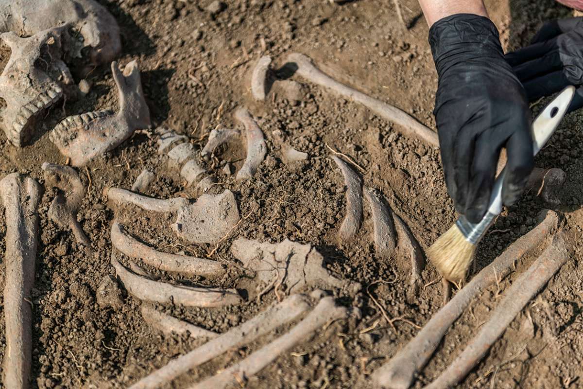Cette découverte archéologique en Alsace révèle un sombre rituel pratiqué il y a plus de 6000 ans