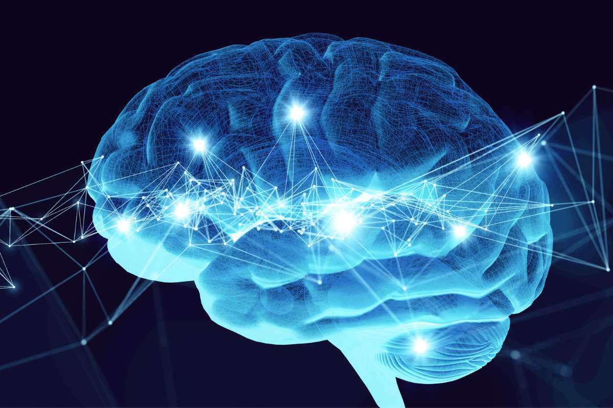 Observer le cerveau en profondeur grâce à la lumière : cette expérience marque un tournant scientifique inédit