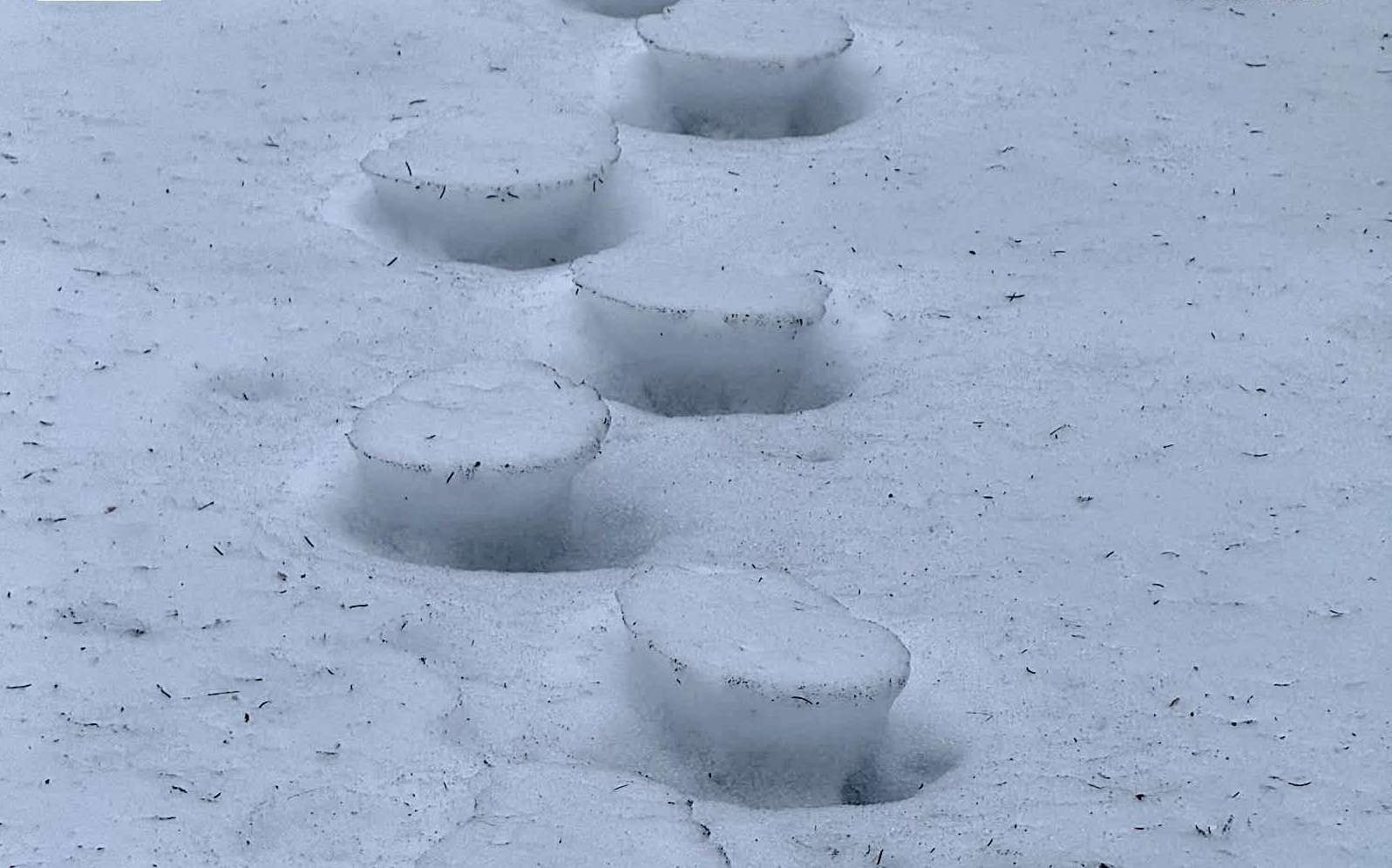 Phénomène météo extraordinaire : des traces de pas inversées dans la neige !