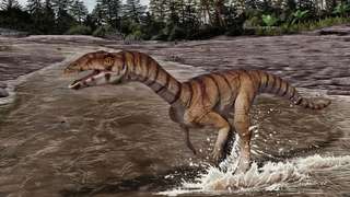 0d072d8bb2_50255857_crocodile-dinosaure.jpg