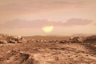 Ces créatures survivent à tout… sauf à Mars : cette expérience intrigue les scientifiques