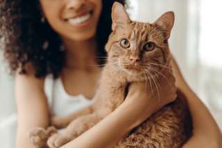2811c394a7_50257857_chats-communication.jpg