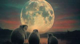 Super Lune du castor : voici ce que vous allez vraiment voir (ou pas) demain soir