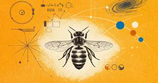 Les abeilles pourraient nous aider à communiquer avec des intelligences extraterrestres