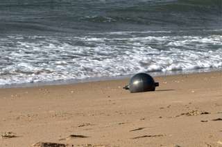 « Je me suis dit que ça pouvait être des extraterrestres » : l’Australie enquête sur de mystérieuses sphères sur ses plages