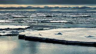 Les scientifiques alertent : quelque chose a basculé en Antarctique… et cela pourrait tout accélérer