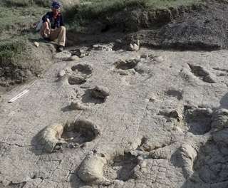 Ces empreintes géantes découvertes en Mongolie forcent les chercheurs à revoir l’histoire des dinosaures dans cette région