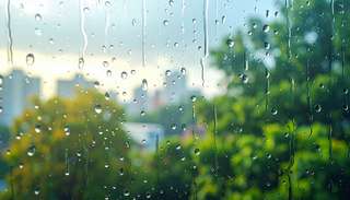La science cachée de votre maison : ce n’est pas vraiment la pluie qui salit vos vitres