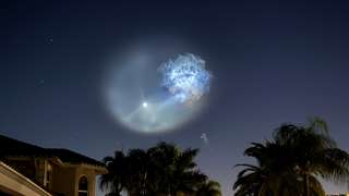 « Un événement incroyable » : une méduse géante illumine le ciel, mais un détail stupéfie les témoins