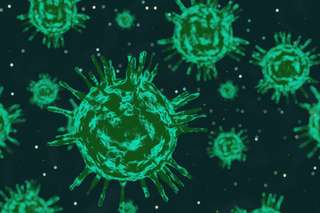 c5bdb1b526_50254697_microbes-haut-atlas-maroc.jpg