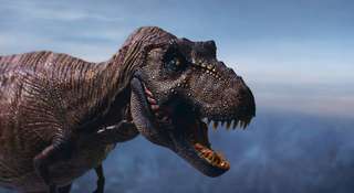 Le T. rex n’était pas qu’une brute : son cerveau aurait pu lui permettre de résoudre des problèmes et même d’utiliser des outils