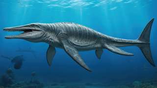 ca20b2204e_50247889_mosasaurus.jpg