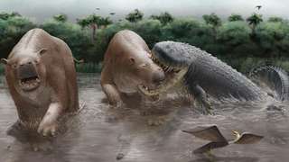 « Il y avait tellement de proies disponibles » : ce crocodilien géant dominait ce monde perdu il y a 10 millions d’années