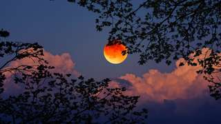 Cette image de l’éclipse de Lune n’est pas comme les autres, et la Nasa s’y intéresse de près