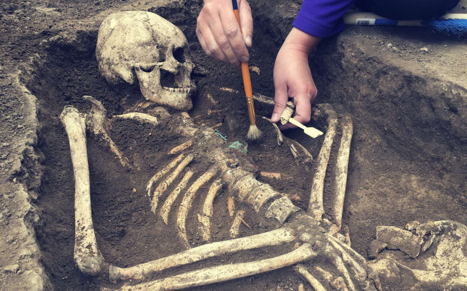 Voici ce que révèle ce squelette vieux de 1 800 ans sur les terribles spectacles de l'Empire romain