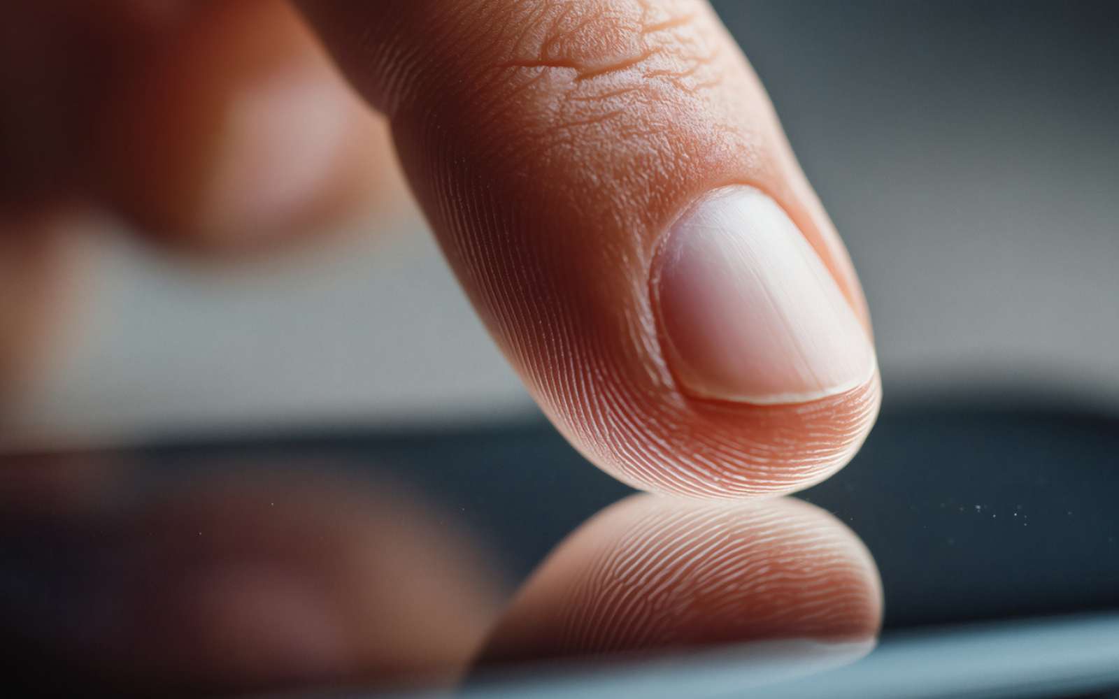 Voici comment nos doigts pourraient percevoir des objets cachés sans même les toucher selon une étude
