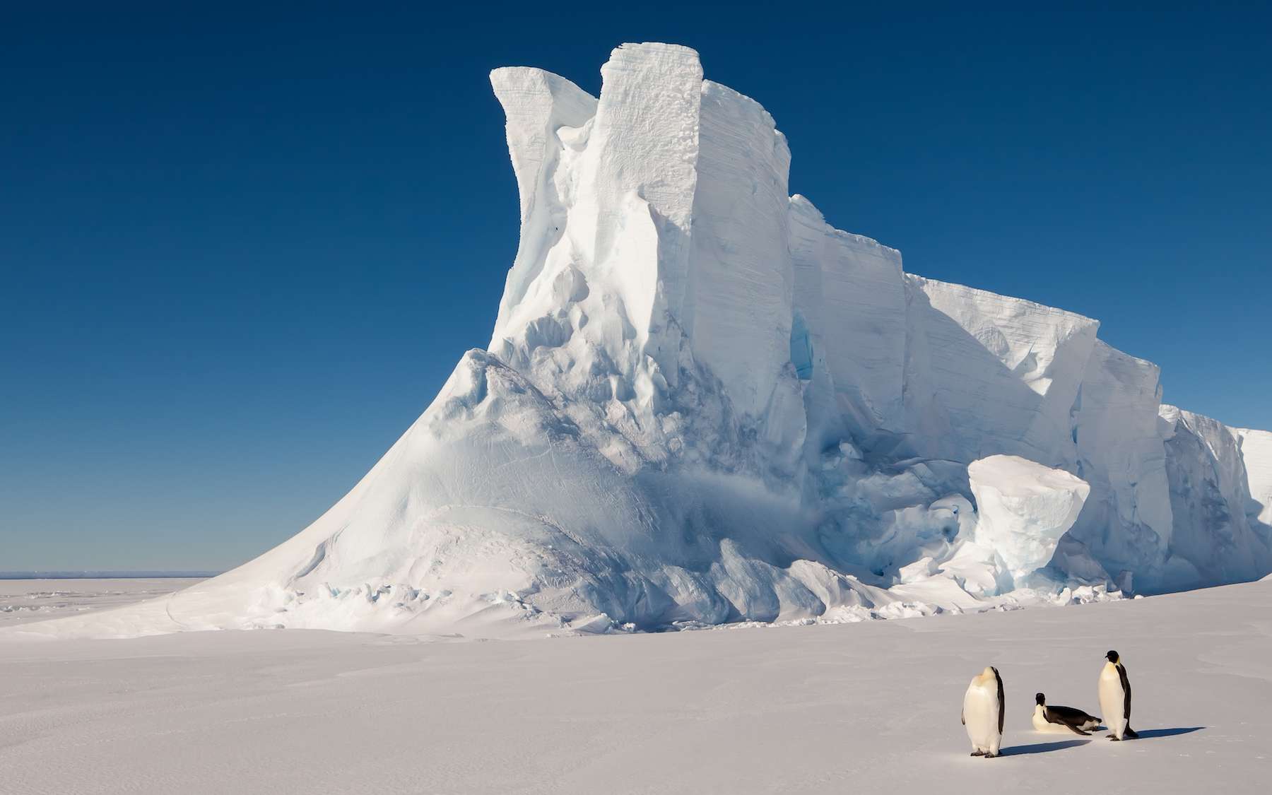 Cette théorie climatique qui redonnait espoir vient d'être contredite par des données de terrain en Antarctique