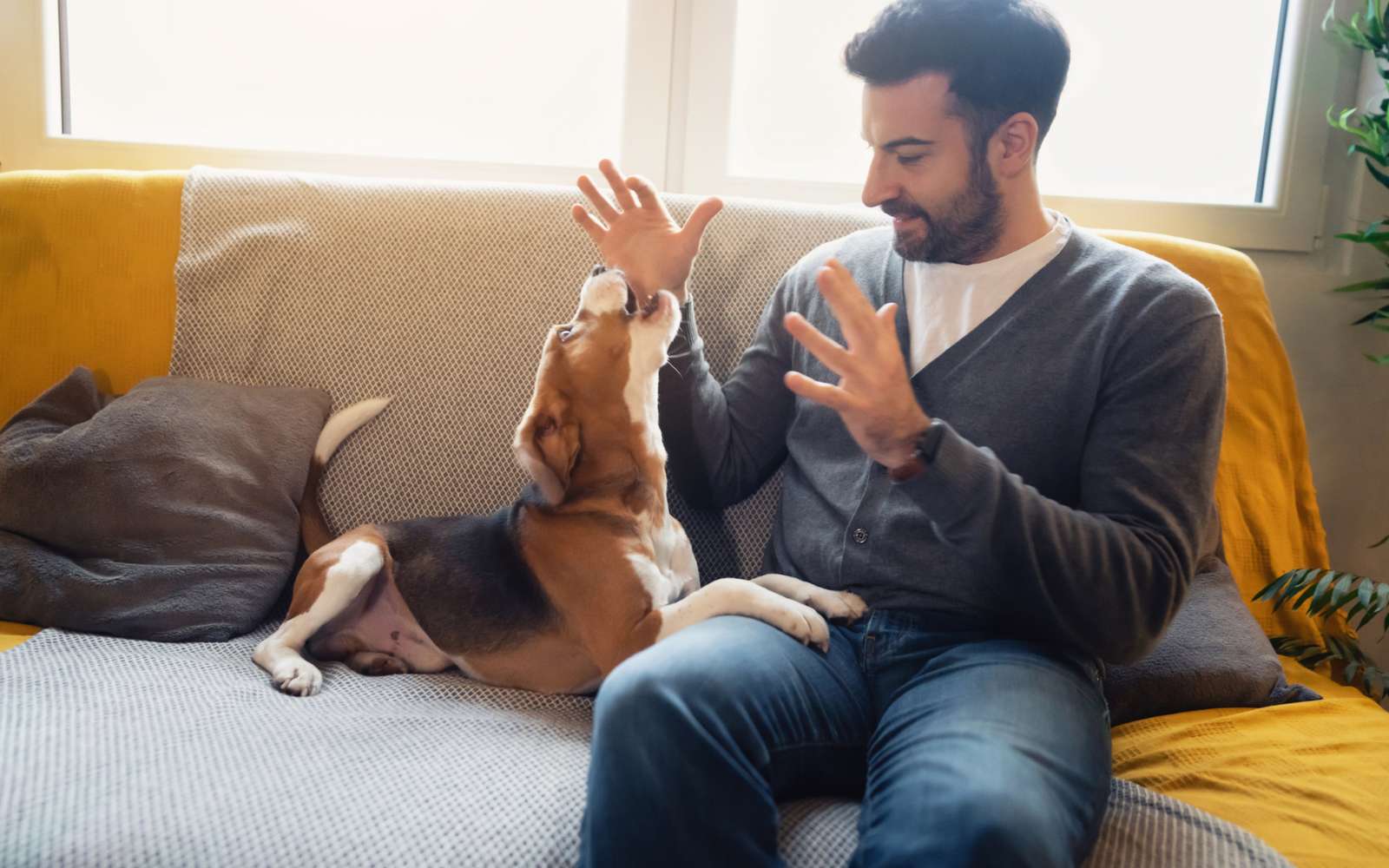 Pourquoi votre chien n'aime pas certaines personnes ? La science révèle ce qu'il perçoit vraiment