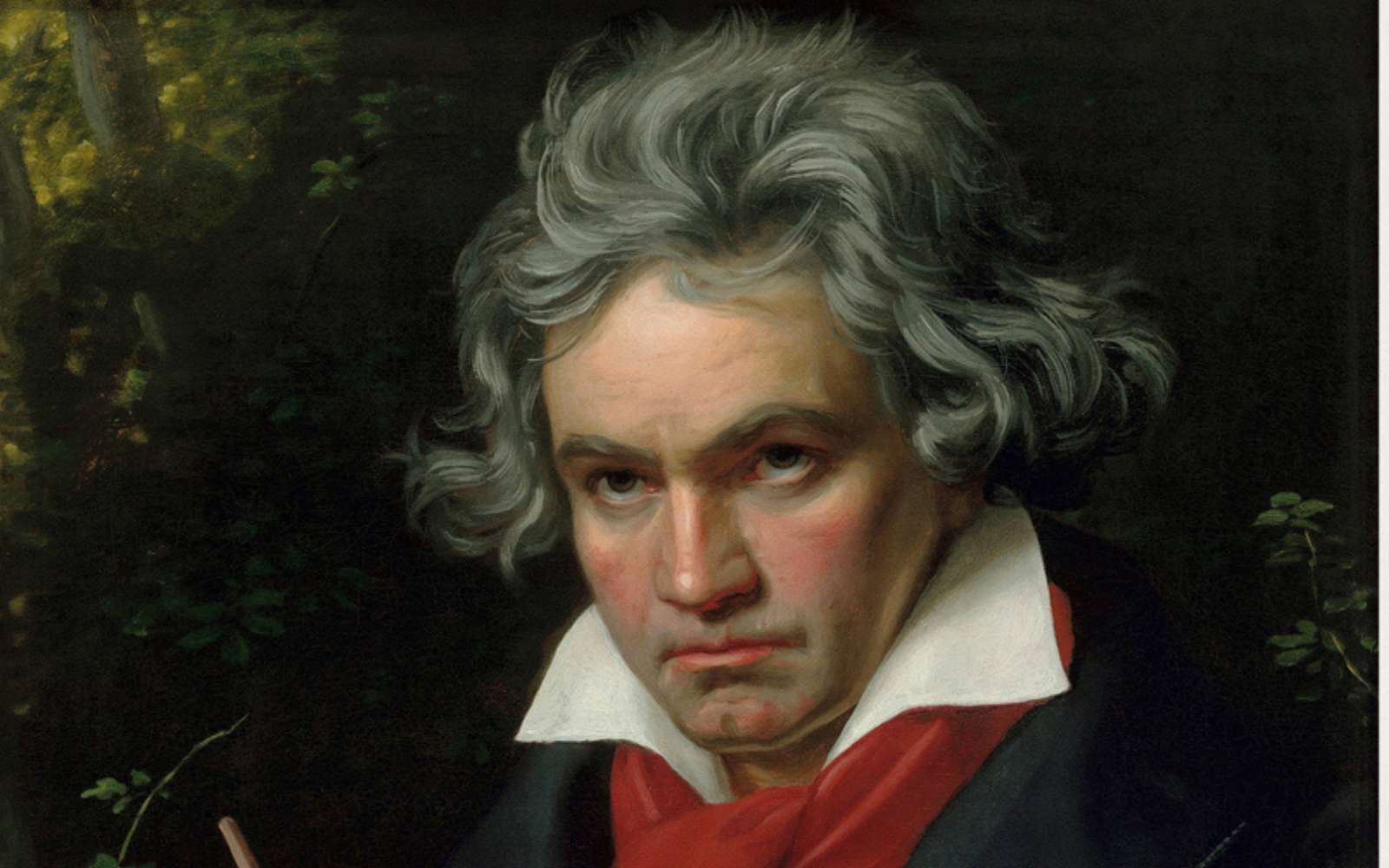 Quelques mèches de cheveux conservées depuis 200 ans viennent de livrer les secrets les mieux gardés de Beethoven