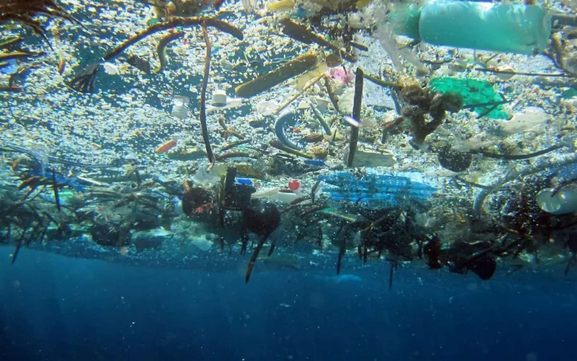 Un nouveau danger des microplastiques : pourquoi les océans pourraient moins bien freiner le réchauffement