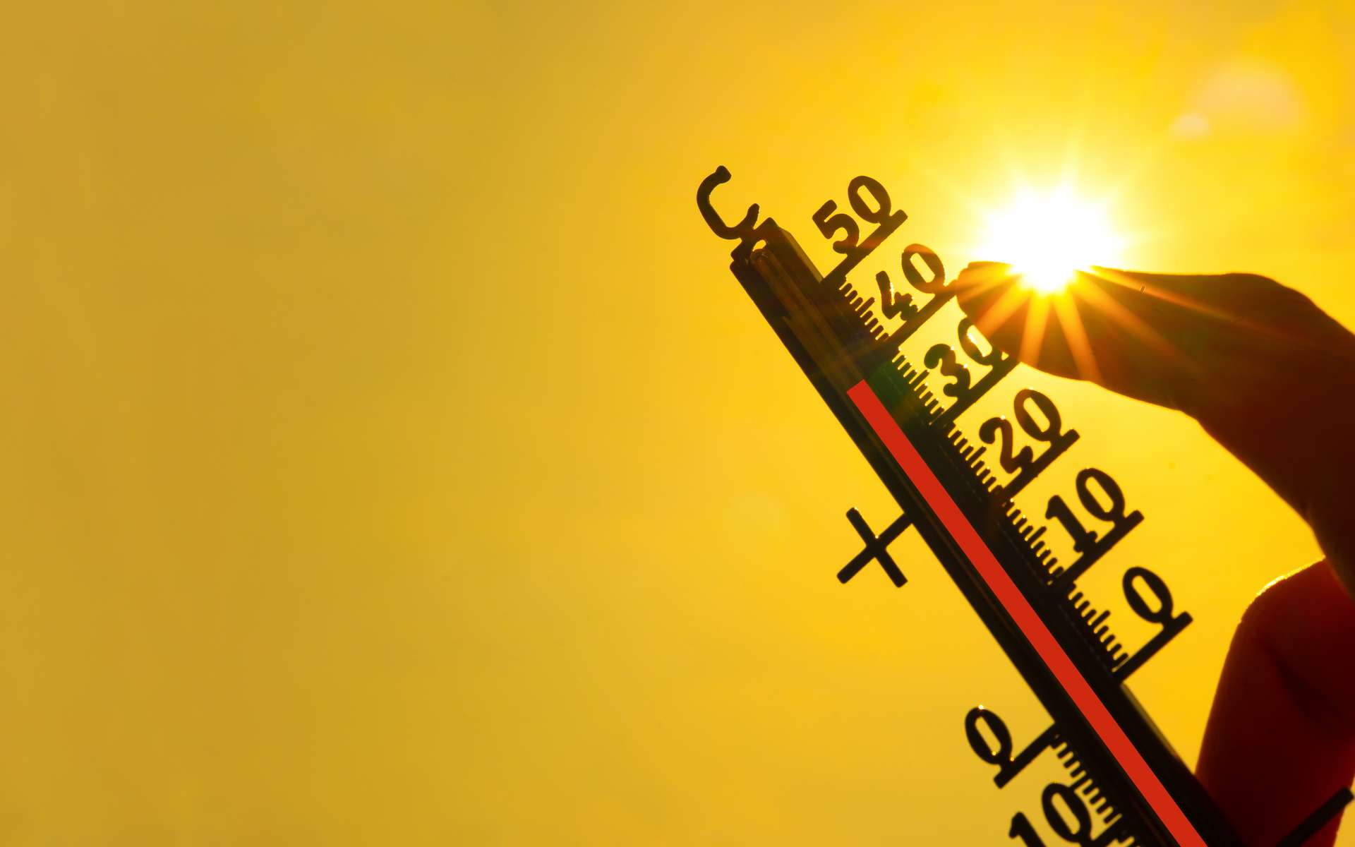 La 5e canicule arrive mardi : voici les régions où le mercure va dépasser 40 °C la semaine prochaine