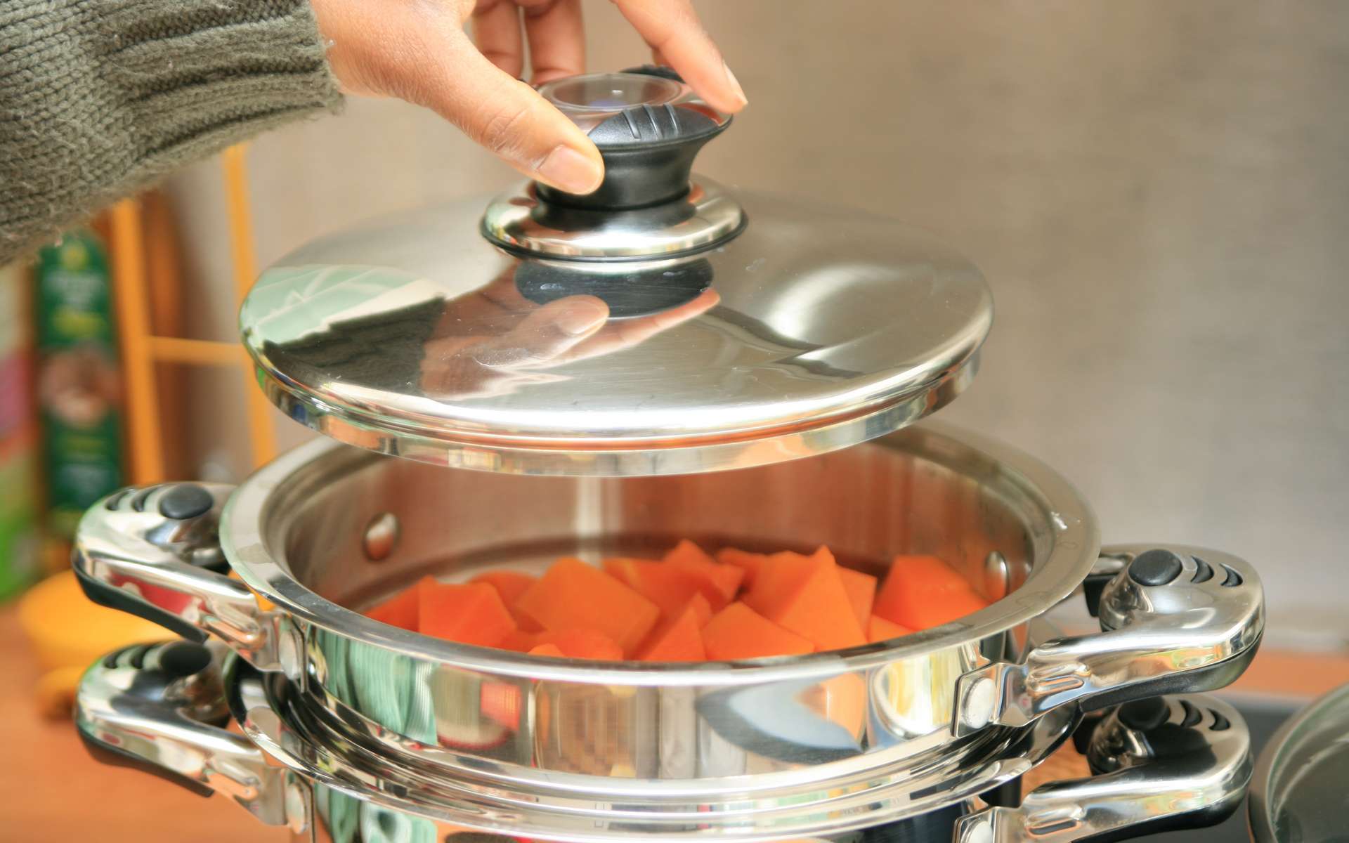 Quels sont les meilleurs cuiseurs vapeur en 2026 ?