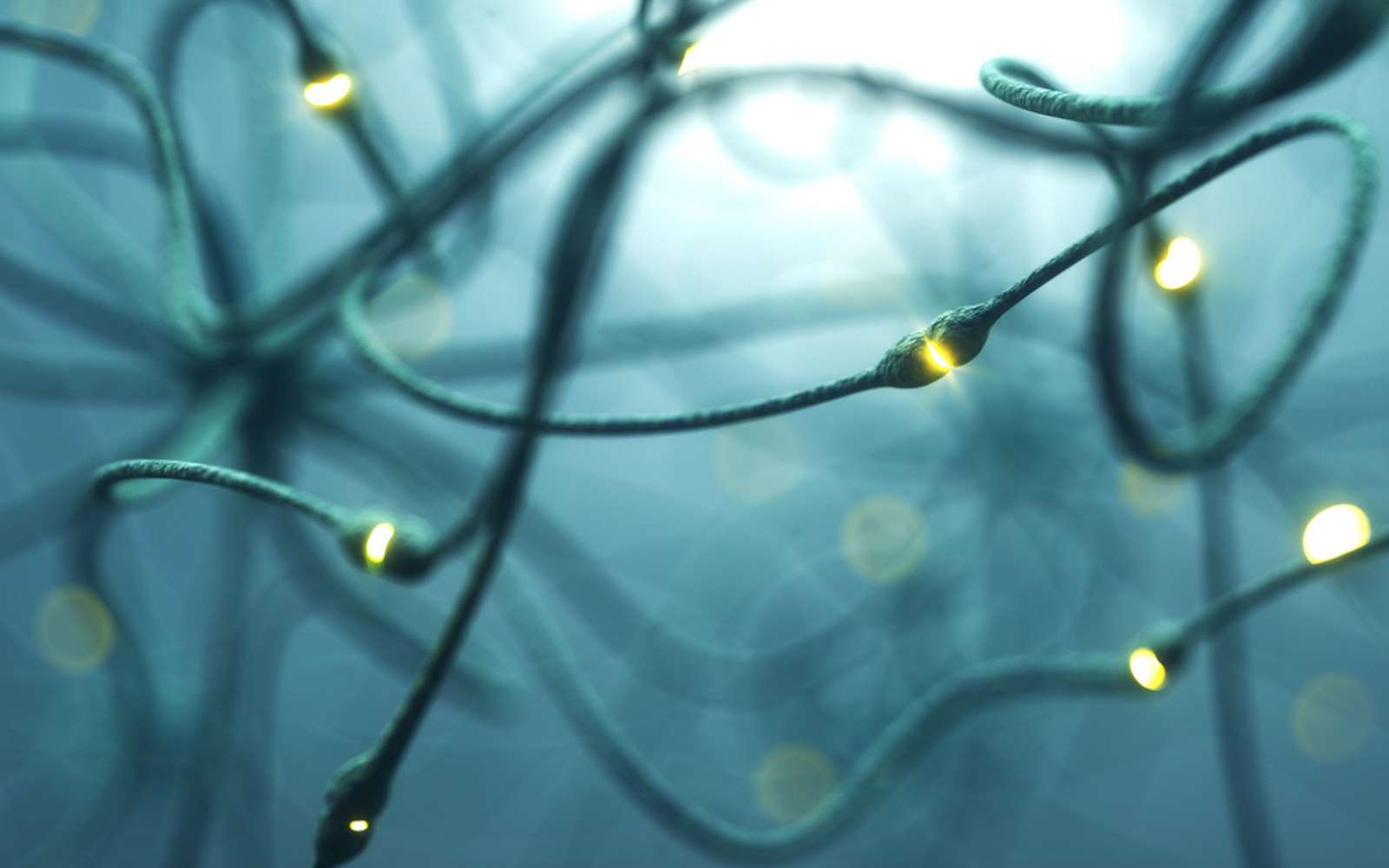 Alzheimer : ce médicament expérimental fait resurgir des souvenirs oubliés depuis des années