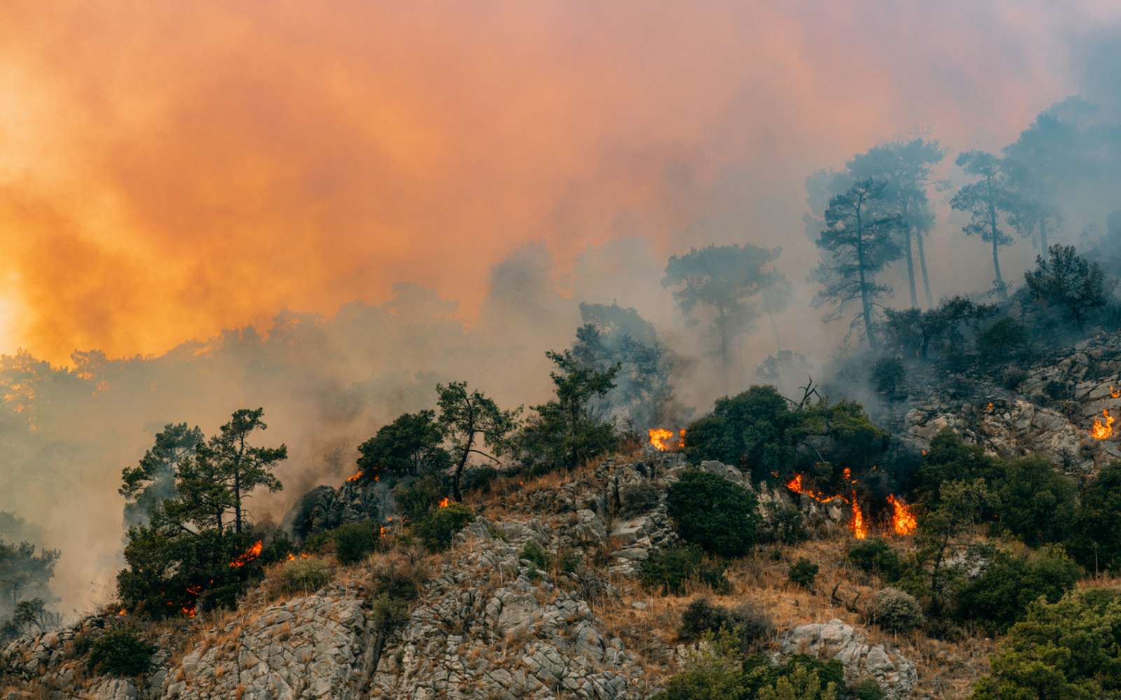 Les scientifiques préviennent : le réchauffement climatique pourrait s’aggraver plus vite que prévu