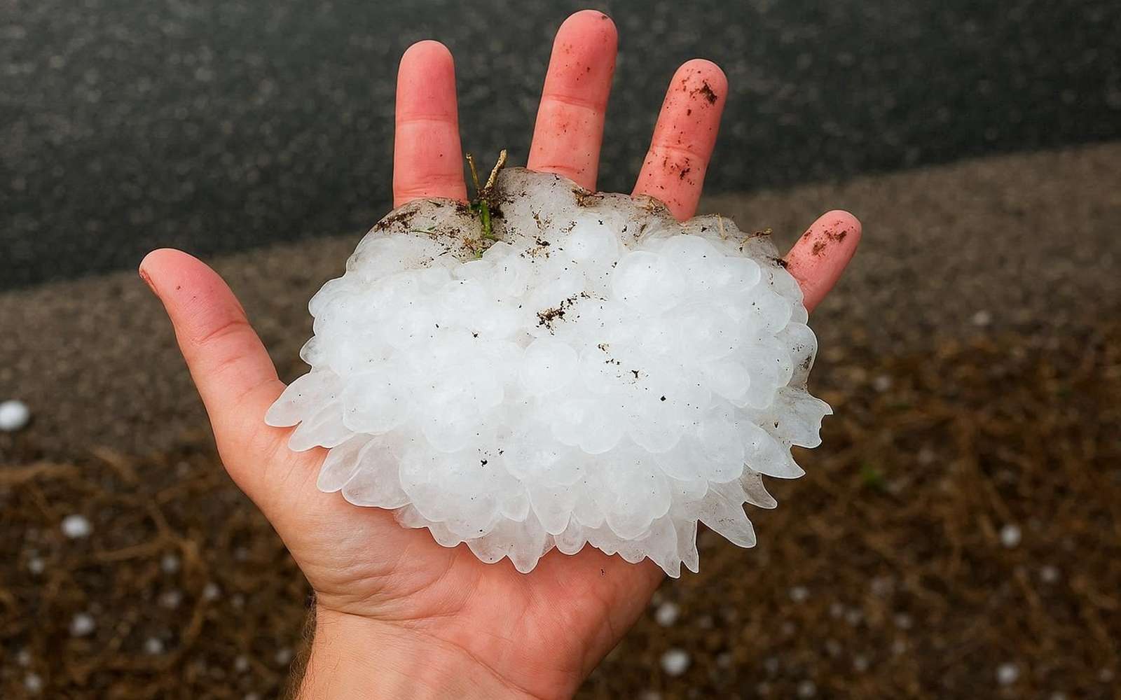 De la « grêle monstre » de 15 cm a frappé l'Illinois : les images semblent sorties d'un film-catastrophe