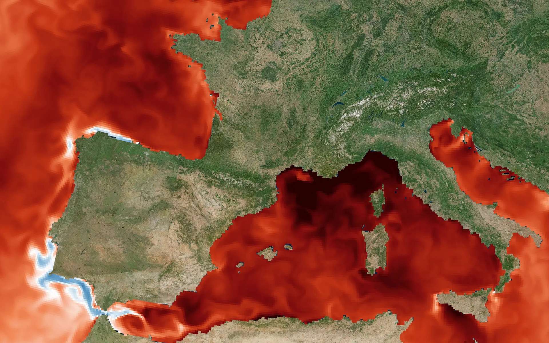 +6 °C en Méditerranée : pourquoi la surchauffe des océans menace aussi notre santé