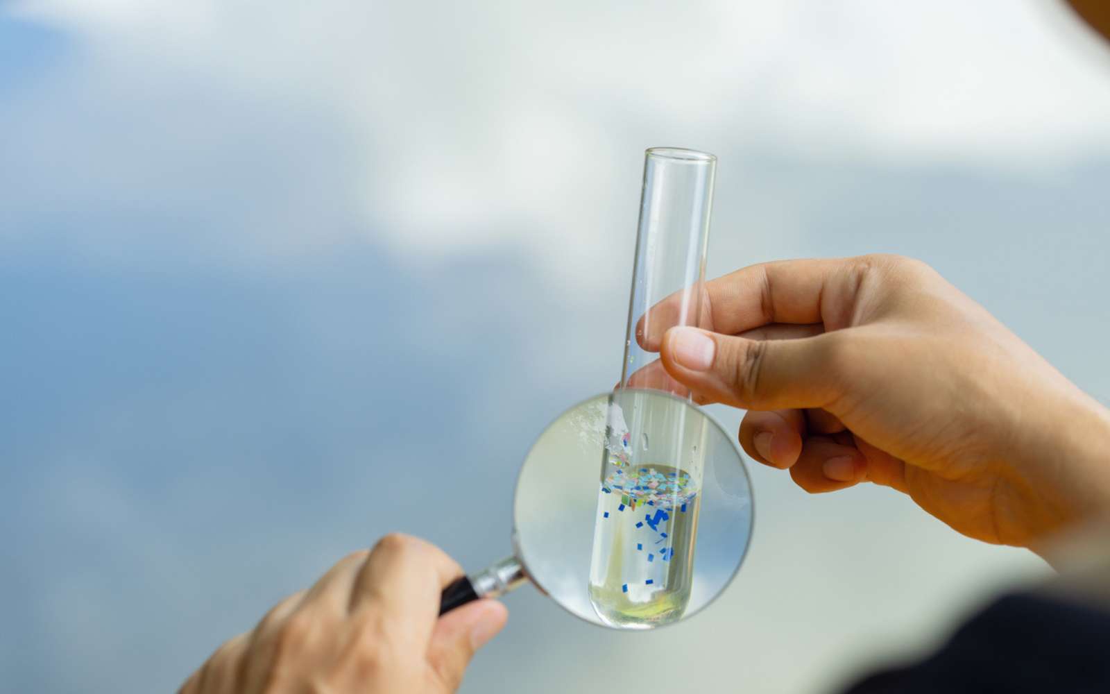 « Nous pensions qu’ils seraient éliminés » : les microplastiques perturbent nos défenses immunitaires