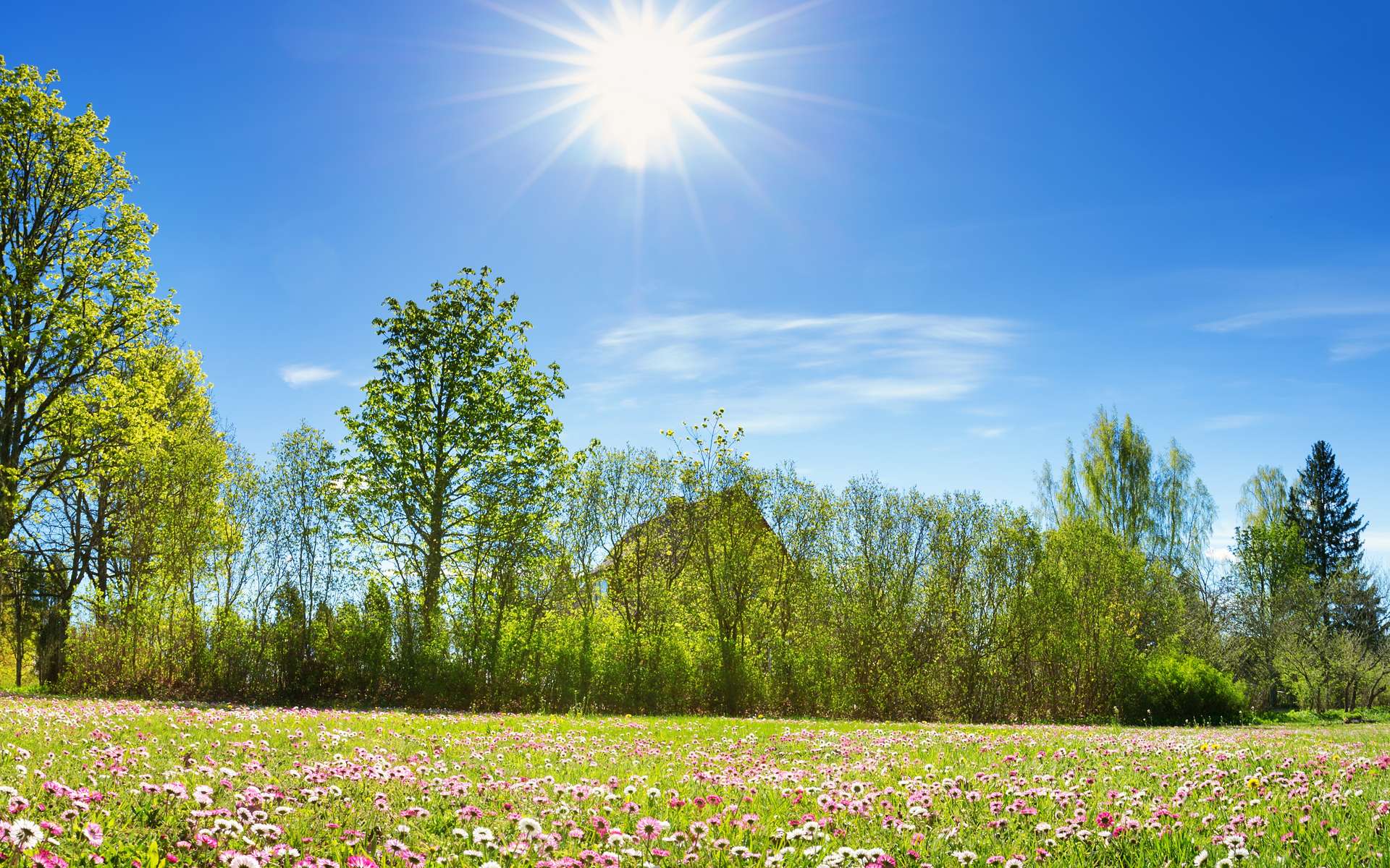 Printemps 2026 : après l’hiver « trop doux, trop mouillé »… voici ce qui pourrait nous tomber dessus