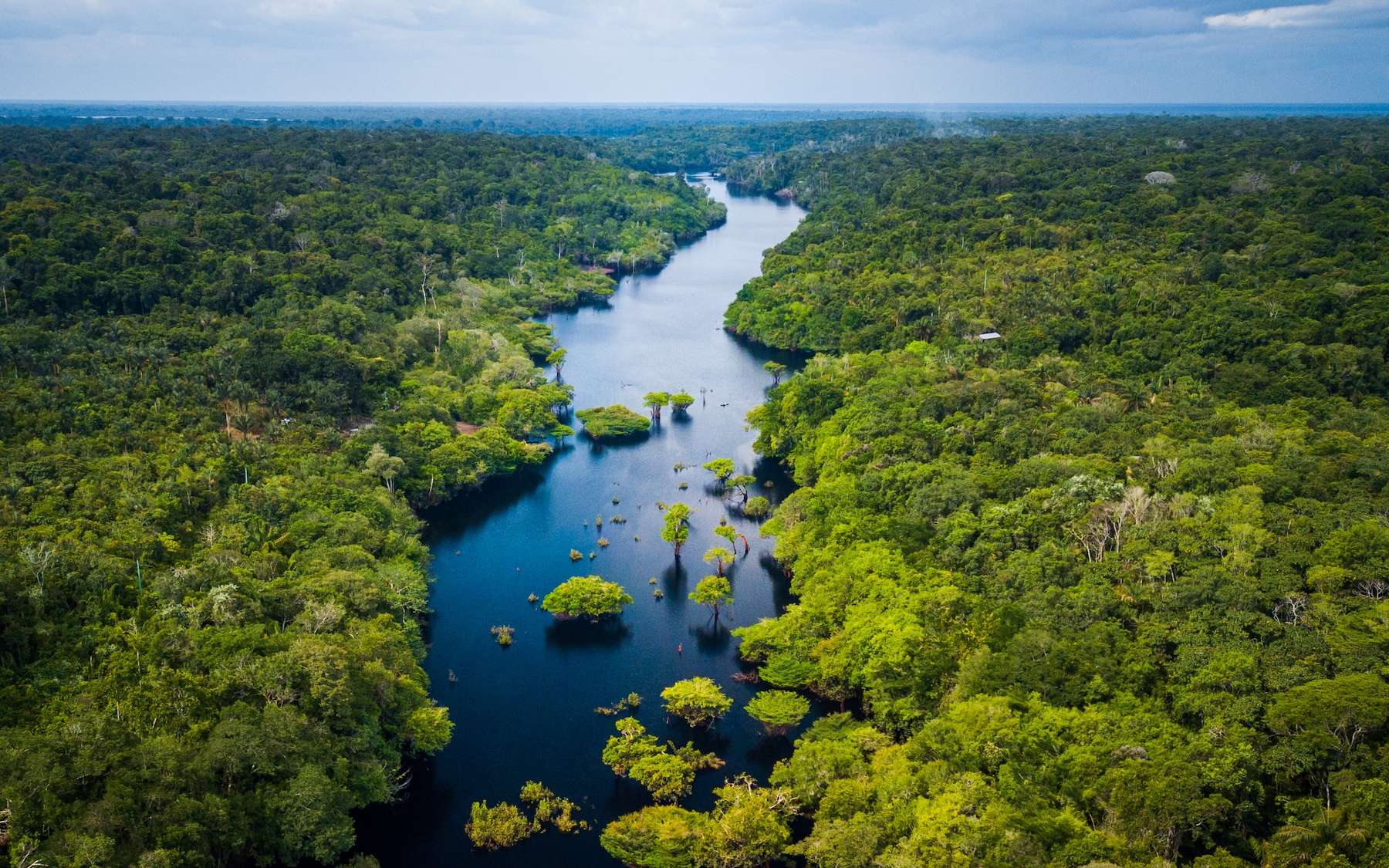 Déforestation et climat : l'Amazonie se rapproche dangereusement de son point de rupture