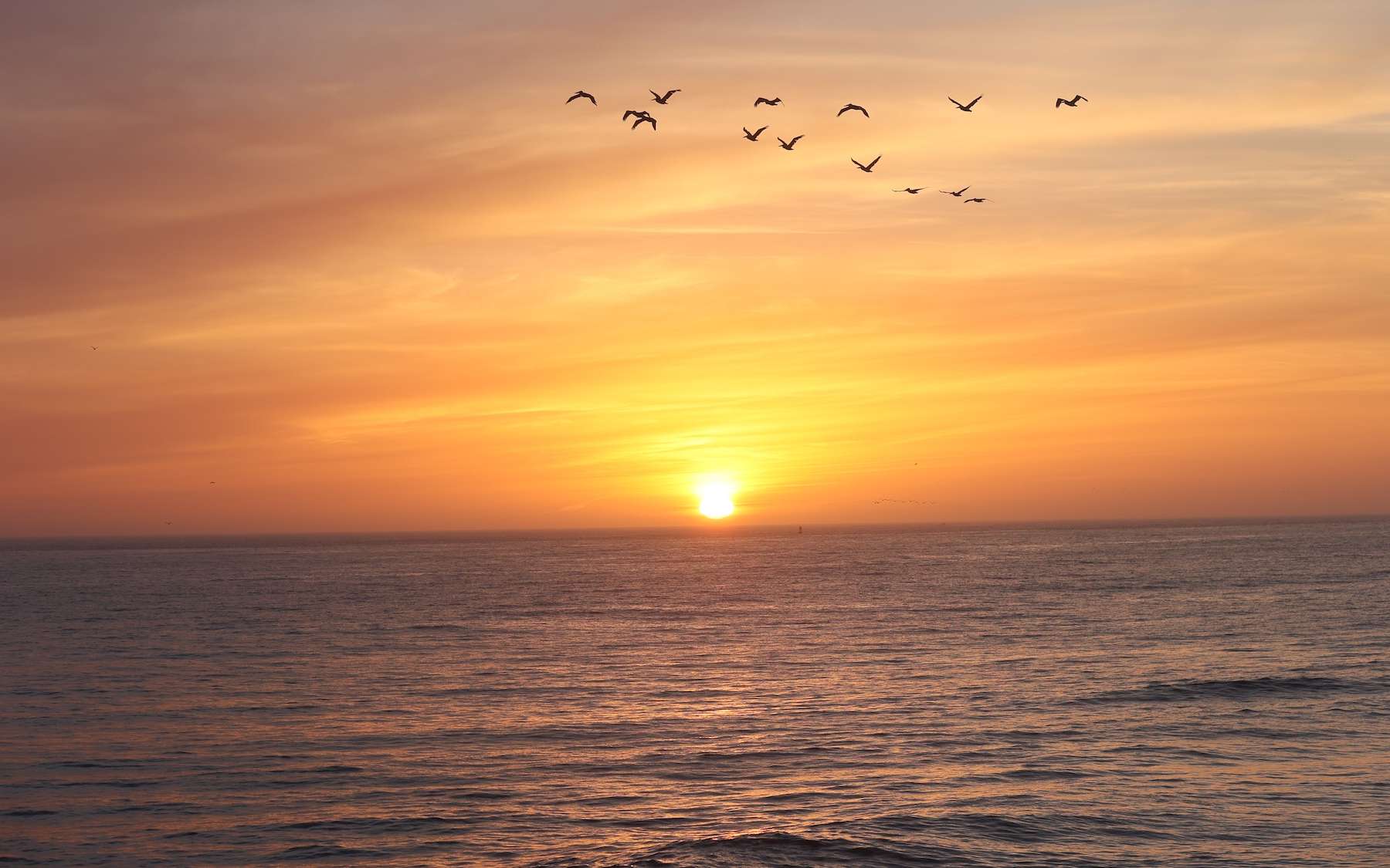 Les scientifiques sont inquiets : l'océan change sur 4 fronts à la fois, et c'est déjà visible sur près de 40 % de sa surface