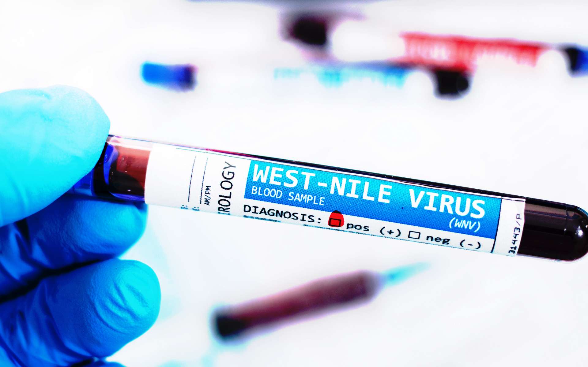 « L'année 2026 marque un tournant » : le virus du Nil occidental étend sa présence à un rythme inédit en France