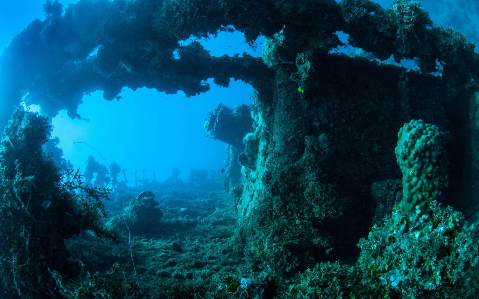 En Inde, cette découverte sous-marine pourrait révéler l'existence d'une civilisation disparue