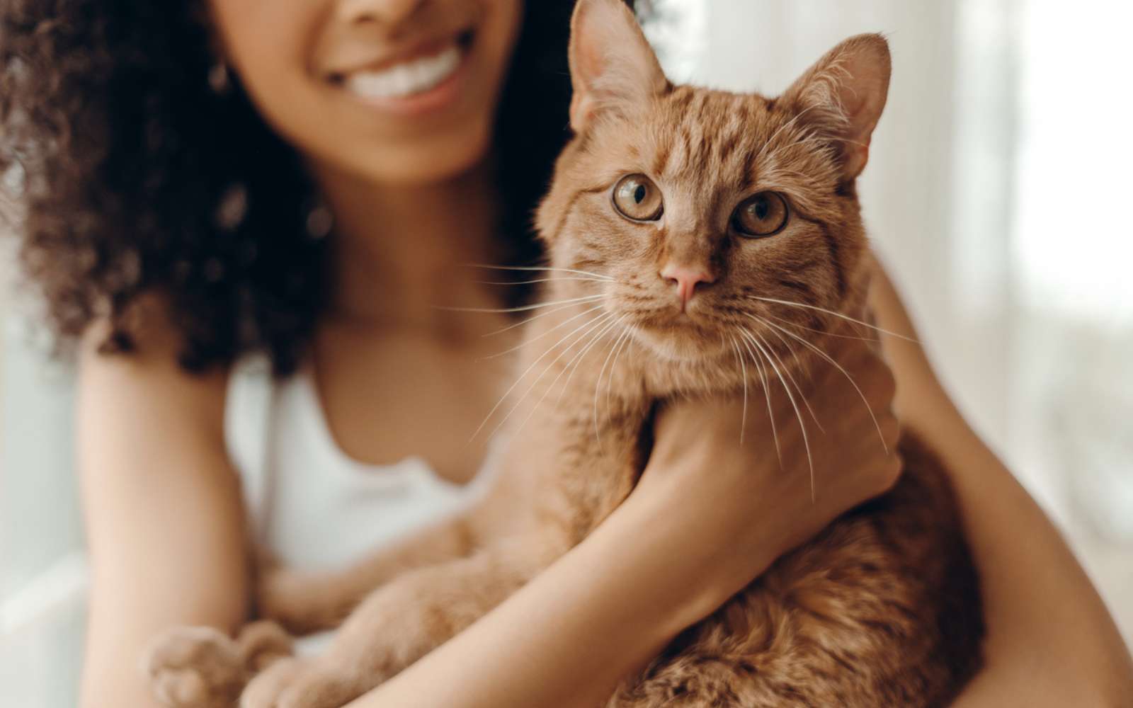 Selon des chercheurs, voici la technique toute simple pour communiquer vraiment avec votre chat