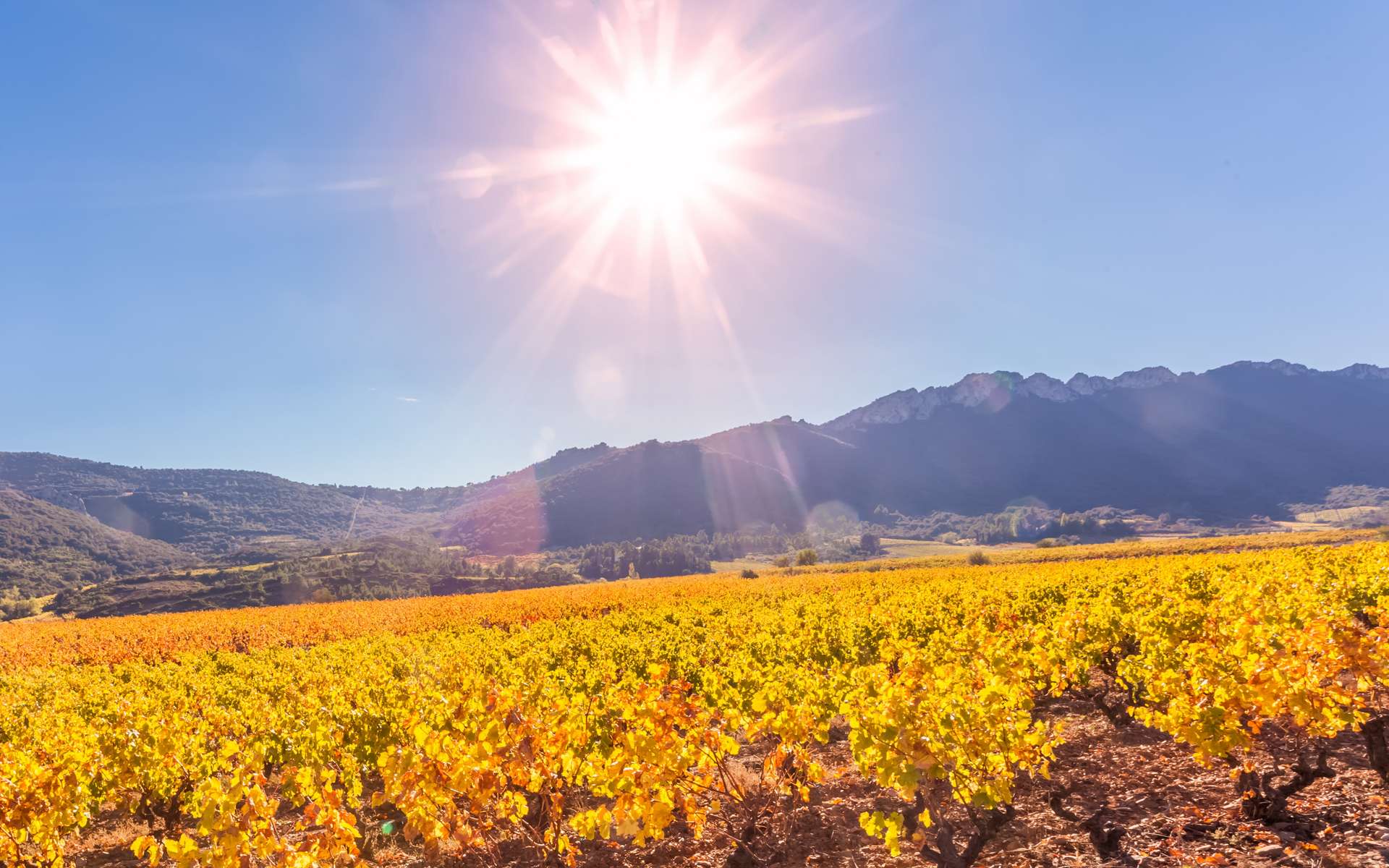 Découvrez la carte des zones de France qui n'ont jamais eu aussi chaud en 2025